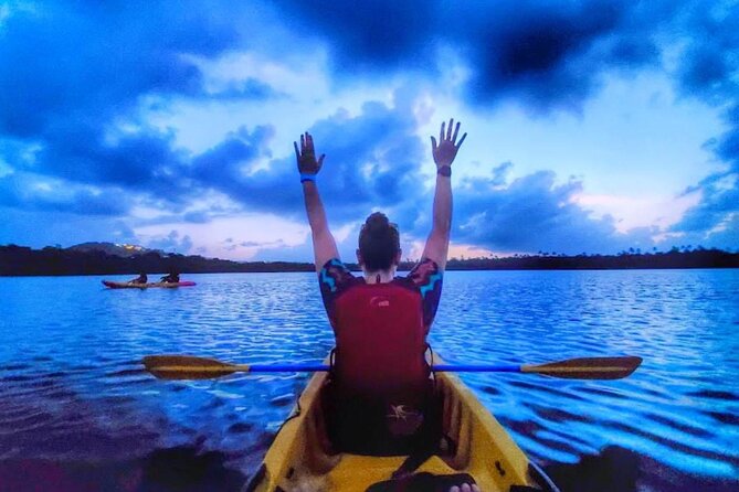 Bio Bay Night Kayak Tour in Fajardo - Key things I’d plan around
