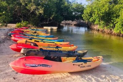 Bio Bay Night Kayak Tour in Fajardo - Price and what $85 buys you (and why it’s not just a gimmick)