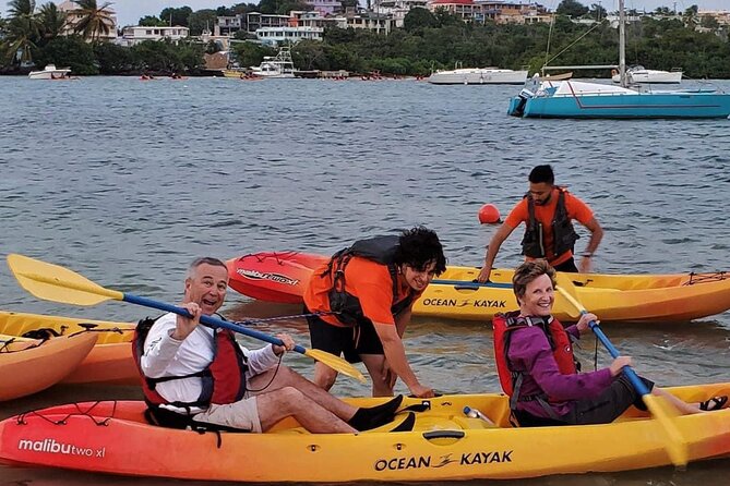 Bio Bay Night Kayak Tour in Fajardo - The Laguna Grande talk: learning that makes the glow mean something