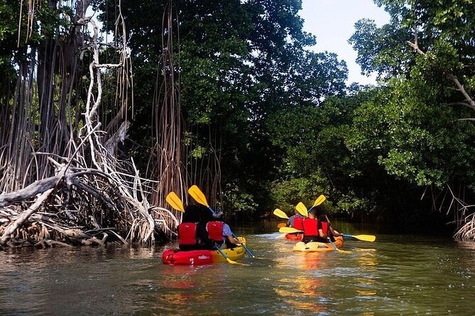 Bio Bay Night Kayak Tour in Fajardo - Who will enjoy this most (and who should rethink)