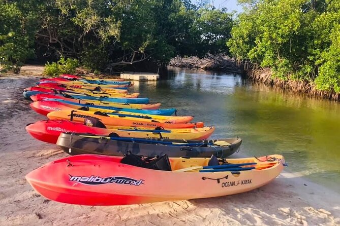 Bio Bay Night Kayak Tour in Fajardo - Price and what $85 buys you (and why it’s not just a gimmick)