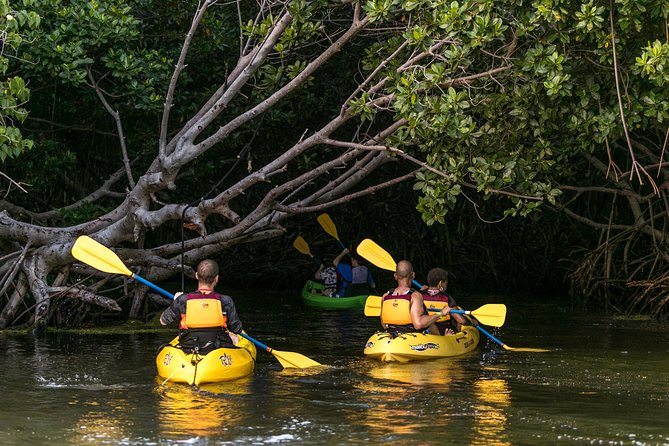 Bio Bay Night Kayak Tour with Transport from San Juan - Getting There From San Juan: Timing, Pickup, and That Long Scenic Wait