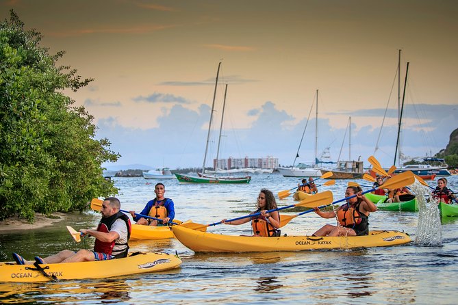 Bio Bay Night Kayak Tour with Transport from San Juan - The Bio Bay Glow: Moon Phase, Weather, and the Moment It Clicks