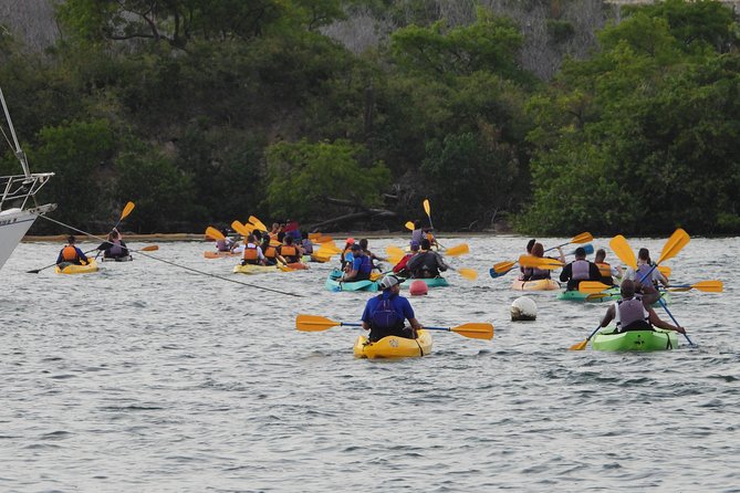 Bio Bay Night Kayak Tour with Transport from San Juan - The Guides’ Role: Safety, Science, and Keeping New Paddlers Calm