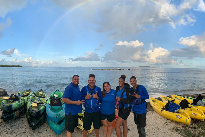 Bio Bay Night Kayak Tour with Transport from San Juan - Paddling Back Through the Mangroves: The Light Show After the Main Event
