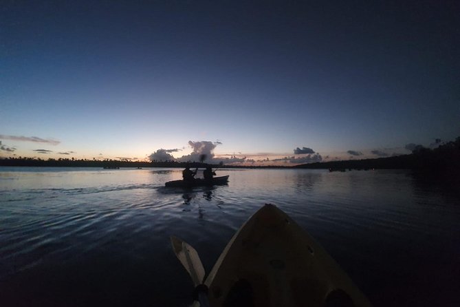 Bio Bay Night Kayak Tour with Transport from San Juan - Price and Value: Is $115 a Good Deal?