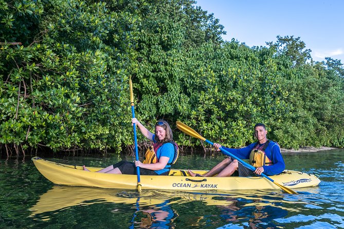 Bio Bay Night Kayak Tour with Transport from San Juan - Laguna Grande and the Mangrove Kayak: What You Actually Do on the Water