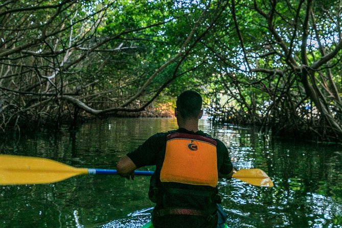 Bio Bay Night Kayaking | Laguna Grande, Fajardo - Price and Value: Is $65 Worth It?