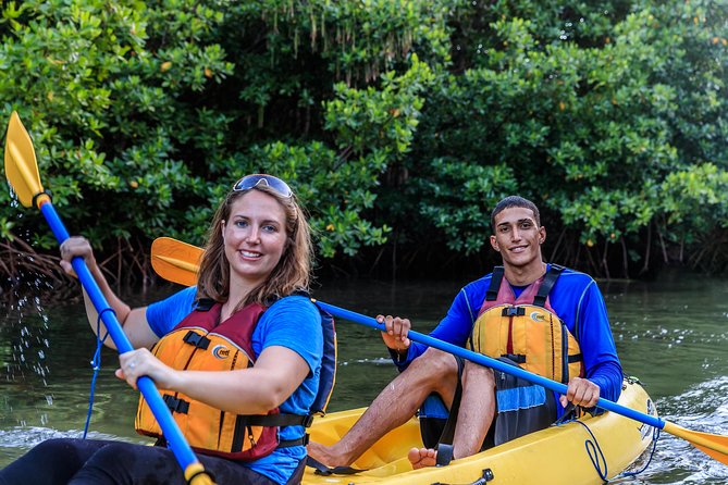 Bio Bay Night Kayaking with Transport from San Juan Area - Price and what you actually get for $125