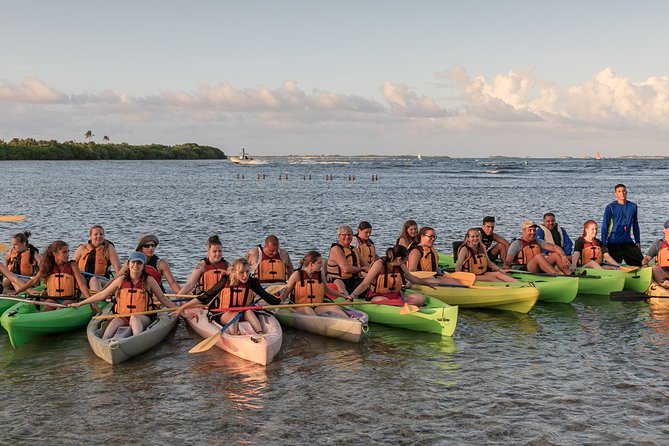 Bio Bay Night Kayaking with Transport from San Juan Area - Laguna Grande mangroves: paddling toward the bay in the dark