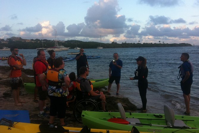 Bio Bay Night Kayaking with Transport from San Juan Area - Inside the bioluminescent bay: tarps, moonlight, and real expectations