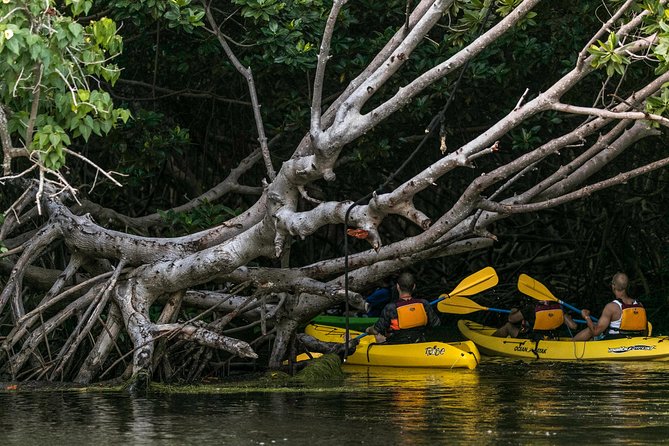 Bio Bay Night Kayaking with Transport from San Juan Area - Your guides, group size, and how safety really works