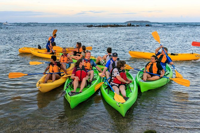 Bio Bay Night Kayaking with Transport from San Juan Area - San Juan transport and the 4:00 pm start: how the day flows