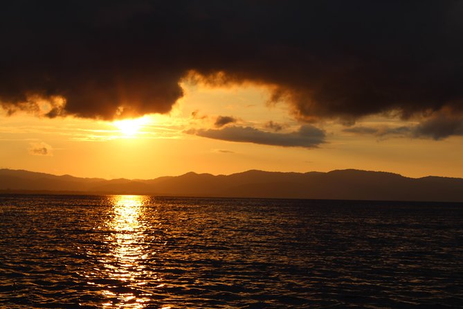 Bio-Luminescence and Sunset Kayak Tour - Quick hits before you paddle
