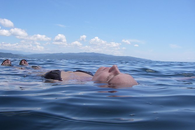 Bio-Luminescence and Sunset Kayak Tour - Price and what you actually get for $67.15