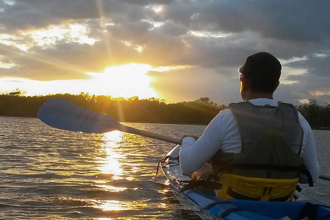 Bio-Luminescence and Sunset Kayak Tour - Bioluminescence reality check: moonlight, photos, and how to see it best