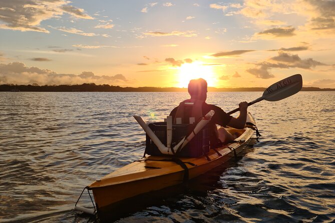 Bio-Luminescence and Sunset Kayak Tour - Meeting point at Calle a Gringolandia (and the 100-meter beach walk)