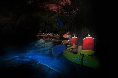 BioBay Sunset Splash-Kayaking Tour - Bioluminescence: the “what you’re seeing” part is the real value