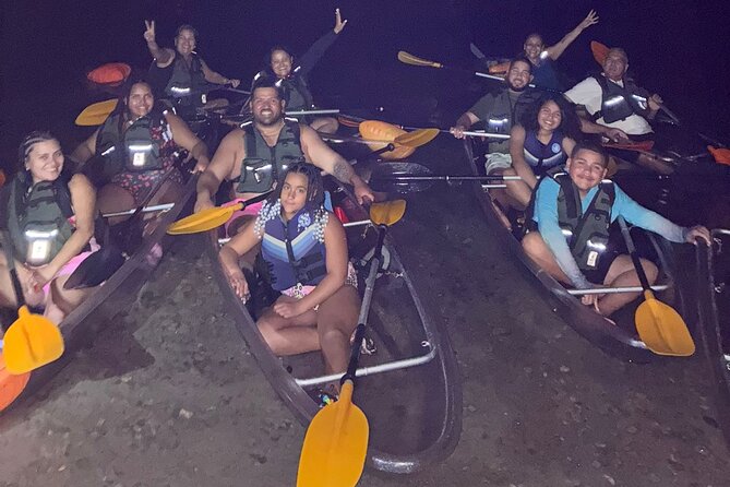 Biobay Vieques Tour Kayak Night Tour - Key highlights to know before you go