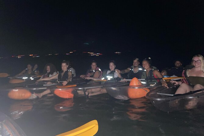 Biobay Vieques Tour Kayak Night Tour - Price and value: why $60 can be a good deal