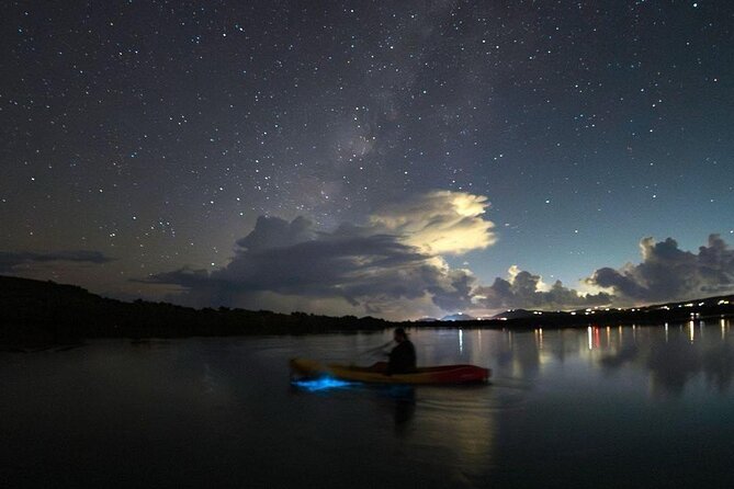 Biobay Vieques Tour Kayak Night Tour - Who this tour suits best (and who might hesitate)