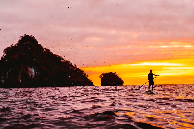 Bioluminescence by kayak or SUP to Los Arcos Puerto Vallarta - The Core Experience: Paddling to the Marine Sanctuary, Then Swimming in the Glow