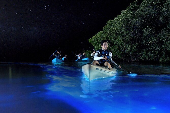 Bioluminescence Clear Kayak or Paddleboard Tour Near Orlando - Key Points That Make This Tour Worth Your Time