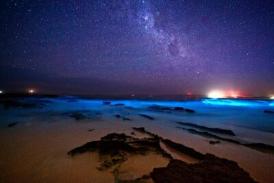 Bioluminescence Clear Kayak or Paddleboard Tour Near Orlando - Sunset Paddling Toward Horseshoe Crab Island