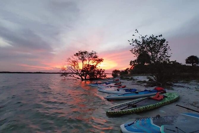 Bioluminescence Clear Kayak or Paddleboard Tour Near Orlando - Timing Choices: New Moon Nights and Why They Matter
