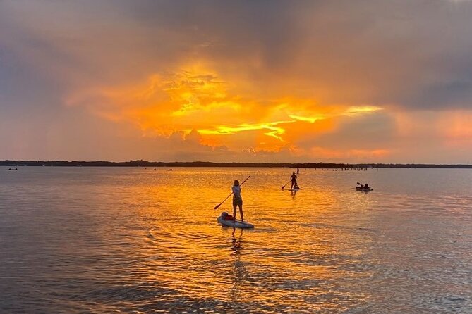 Bioluminescence Clear Kayak or Paddleboard Tour Near Orlando - Value and Budget: What’s Included, What’s Not, and How to Think About It