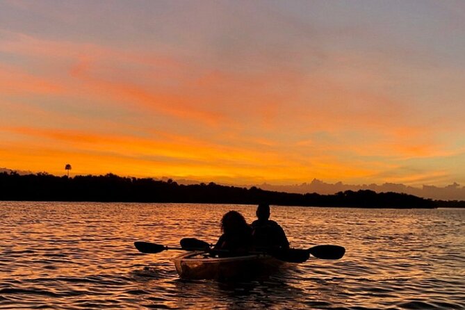 Bioluminescence Kayak Tour - Why Merritt Island Nights Feel So Magical