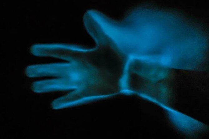 Bioluminescence Kayak Tour - What to Bring (So the Cold and Wet Don’t Ruin It)