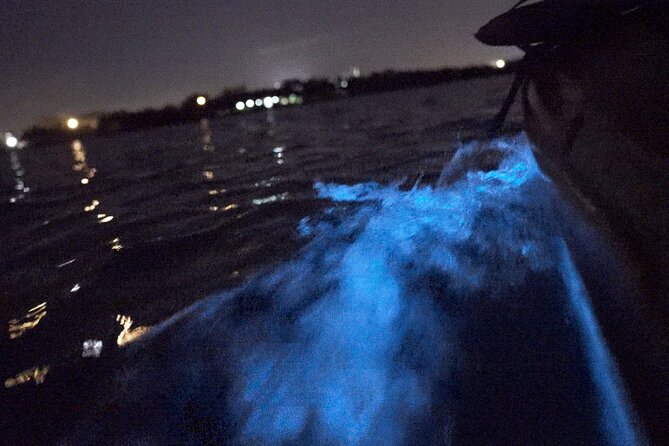 Bioluminescence Kayak Tour - Getting the Most Glow: Season, Moonlight, and Light Pollution