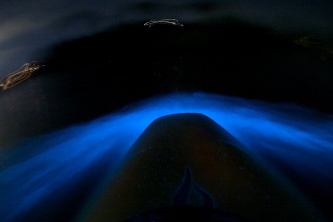 Bioluminescence Kayak Tour - Est. 1994 - Key things that make this tour worth it
