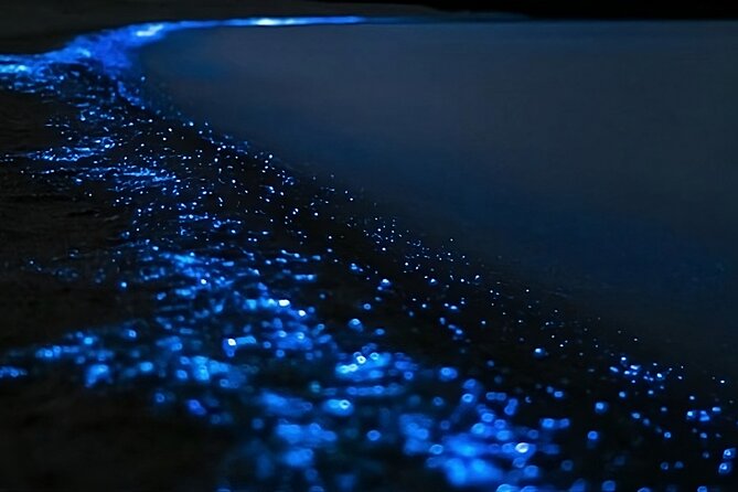 Bioluminescence Kayak Tour - Est. 1994 - From Rosedale to the Night Paddle: logistics that don’t fight you