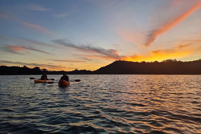 Bioluminescence Kayak Tour - Est. 1994 - Bioluminescent plankton on the North Shore: what to expect (and what not to)