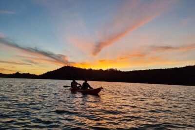 Bioluminescence Kayak Tour - Est. 1994 - Beginner-proof kayaking in sheltered water