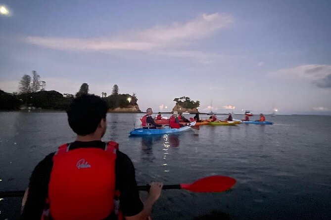 Bioluminescence Kayak Tour - Est. 1994 - The paddle loop: a night out in the Long Bay–Okura area