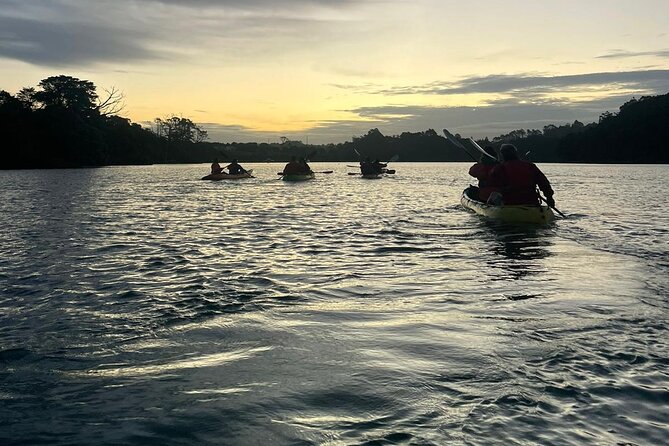 Bioluminescence Kayak Tour - Est. 1994 - What to bring: the wet, the warm, and the practical