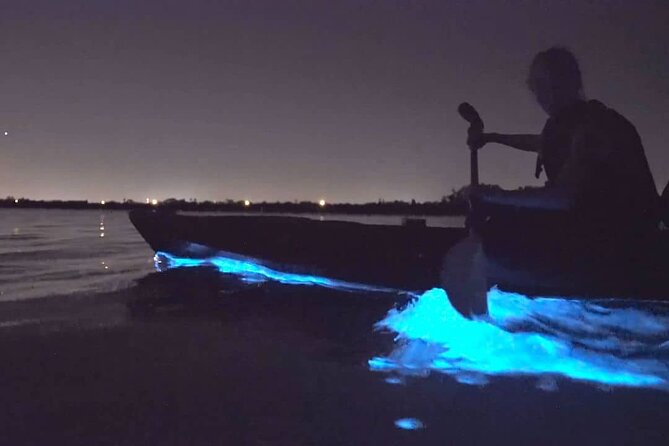 Bioluminescence Kayak Tour - Est. 1994 - Who this kayak tour suits best