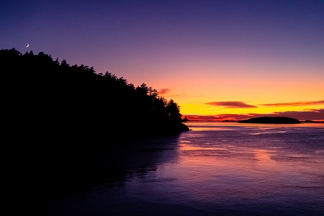 Bioluminescence Kayak Tour in the San Juan Islands - Key things to know before you go
