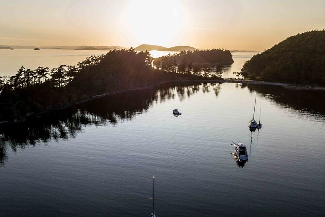 Bioluminescence Kayak Tour in the San Juan Islands - Moon Phases: Why New Moons Shine and Full Moons Can Blur the Glow