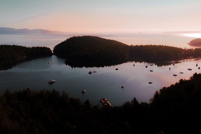 Bioluminescence Kayak Tour in the San Juan Islands - Wildlife, Wait Time, and the Art of Not Missing the Show
