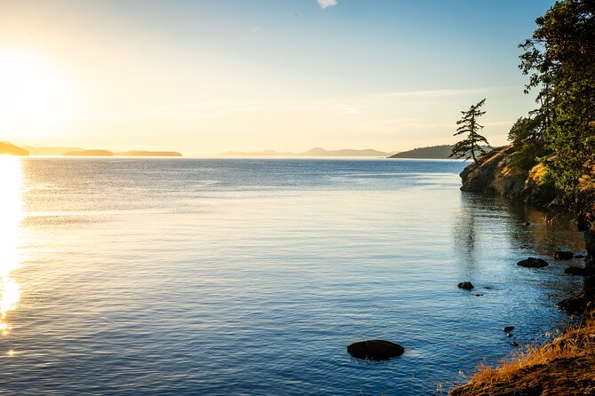 Bioluminescence Kayak Tour in the San Juan Islands - Guides and Gear: Staying Warm and Getting Ready