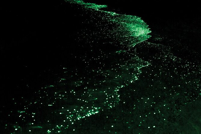 Bioluminescence Kayak Tour in the San Juan Islands - Price and Value: Is $165 for 3 Hours Worth It?