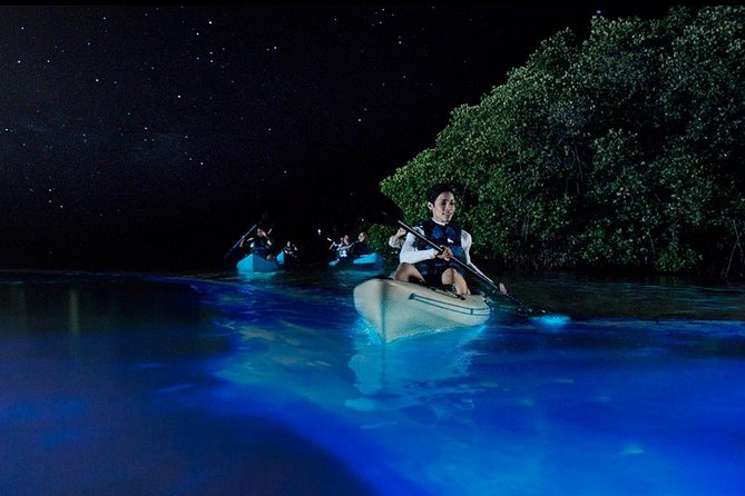 Bioluminescence Night Kayaking Tour of Merritt Island Wildlife Refuge - Why this Merritt Island bioluminescence kayak feels different than a gimmick