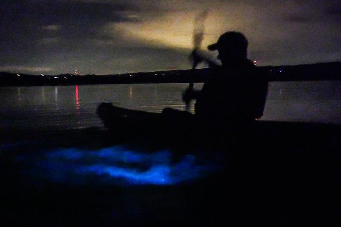 Bioluminescence Night Kayaking Tour of Merritt Island Wildlife Refuge - Price and value: is $75 a fair deal for this kind of night?