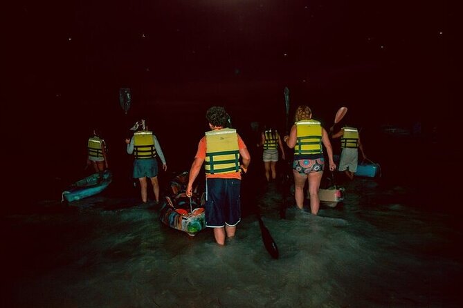 Bioluminescence Tour in Kayak in Holbox Island - Price and value: about $50.78 for a short, night-only spectacle