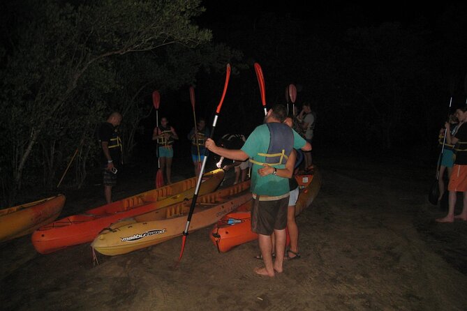 Bioluminescent Bay Kayak Trip from Vieques - Why This Bio Bay Kayak Feels Different at Night