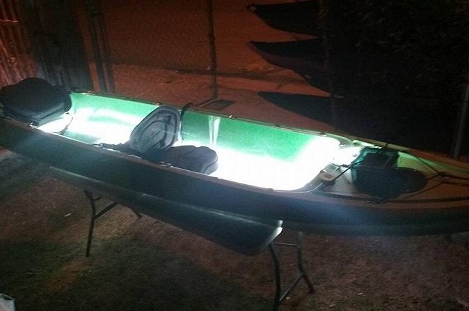 Bioluminescent Bay Kayak Trip from Vieques - Mosquito Bay glow: when it’s brilliant and when it’s more subtle